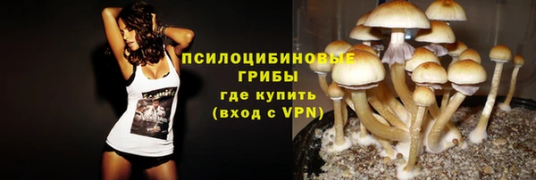 кокс Арсеньев