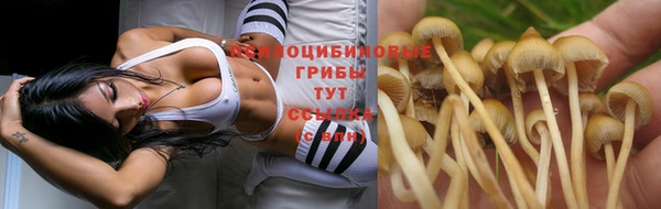 ешки Пенза