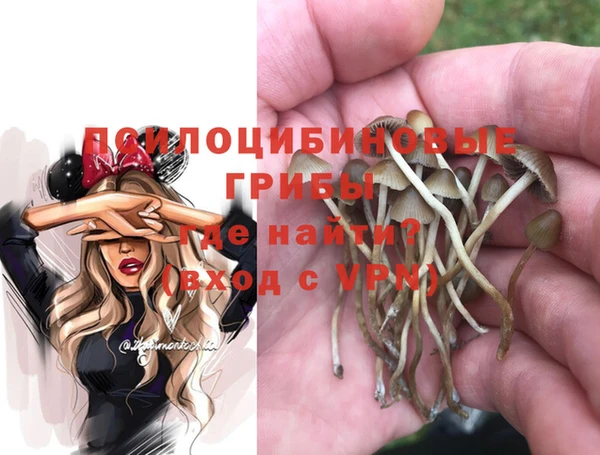 apvp Протвино