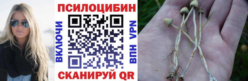 Псилоцибиновые грибы ЛСД где купить наркоту Удачный